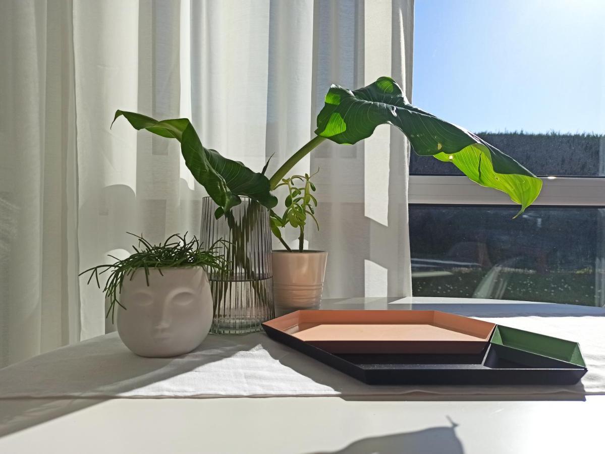 Апартаменты Bajo Con Jardin Privado Сантандер Экстерьер фото
